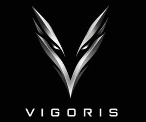 Logo da Vigoris criação de sites profissionais.