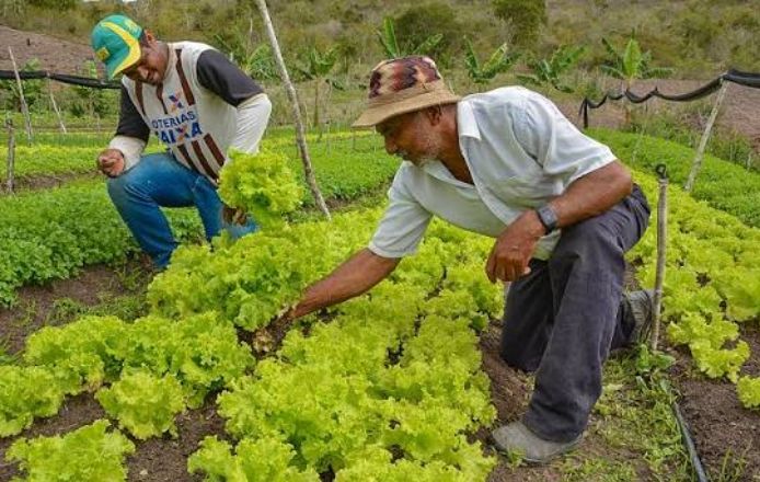 Agricultores de Vitória da Conquista podem fornecer alimentos para o PAA